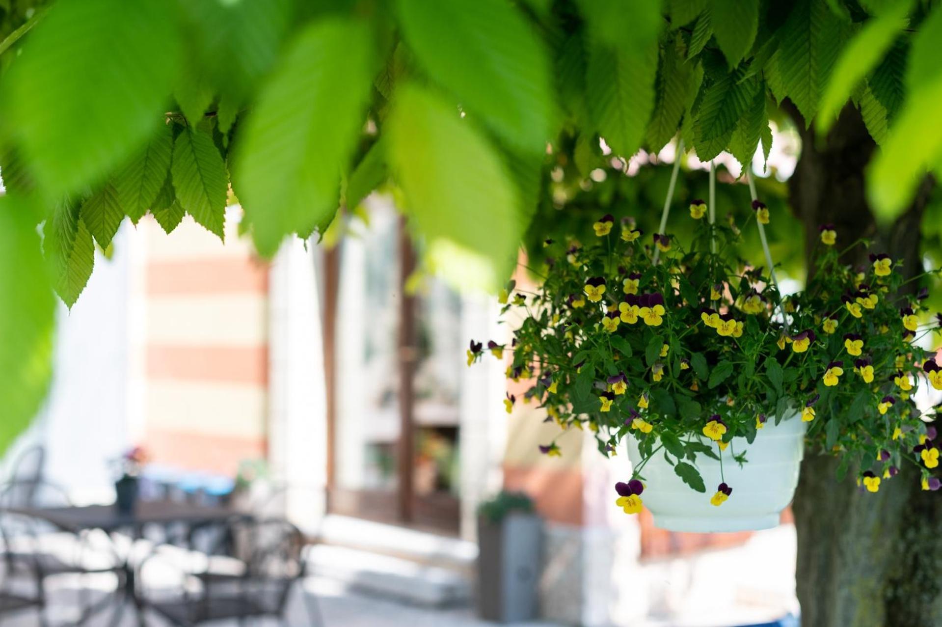 Agriturismo El Crear 산피에트로인카리아노 외부 사진