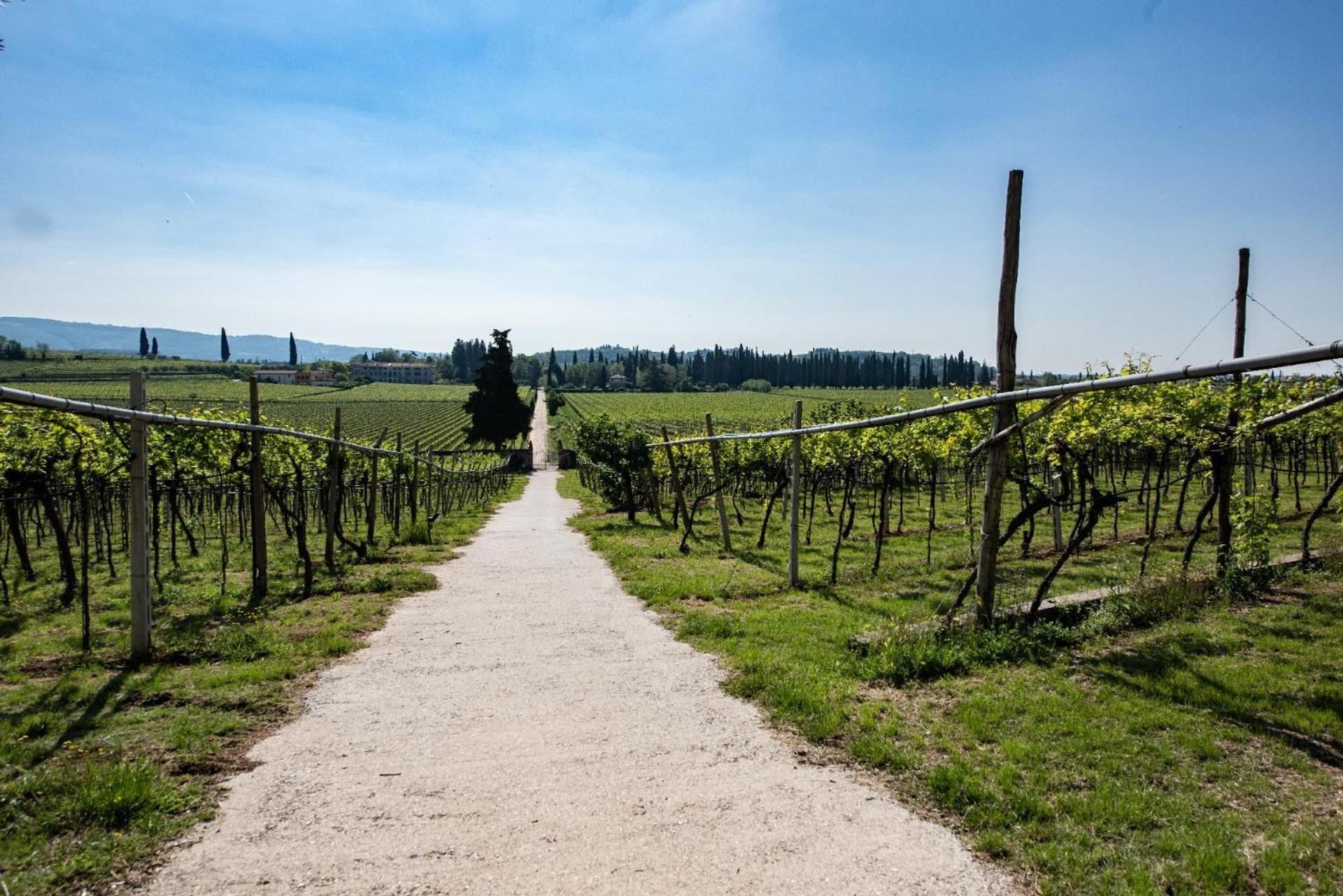 Agriturismo El Crear 산피에트로인카리아노 외부 사진