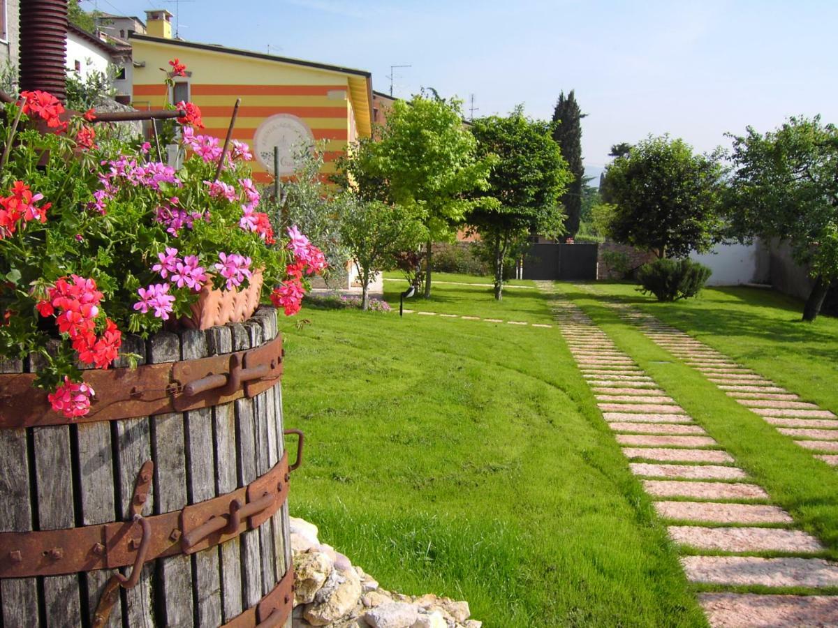 Agriturismo El Crear 산피에트로인카리아노 외부 사진