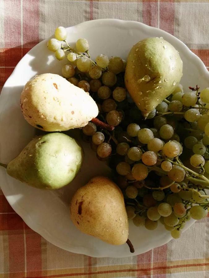 Agriturismo El Crear 산피에트로인카리아노 외부 사진